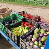 Huerta ecológica